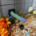 Witch finger perch