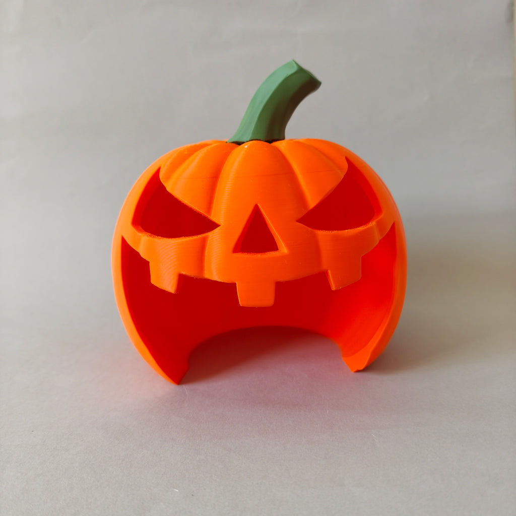 Small animal pumpkin hide