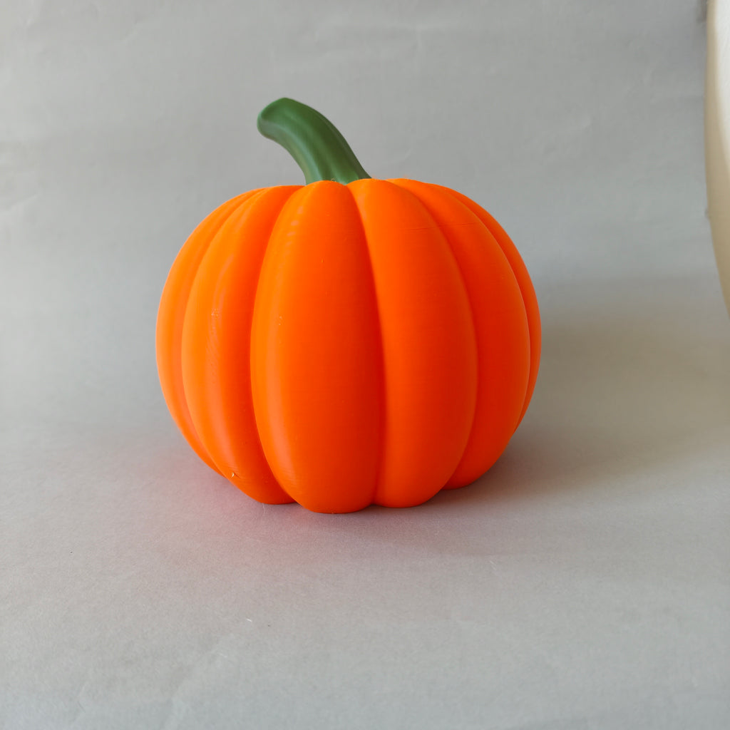 Small animal pumpkin hide