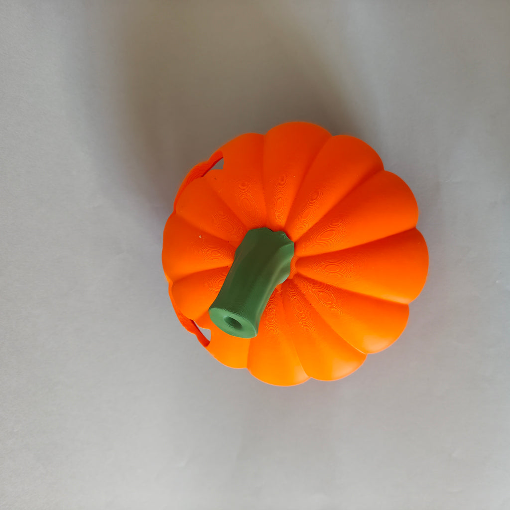 Small animal pumpkin hide