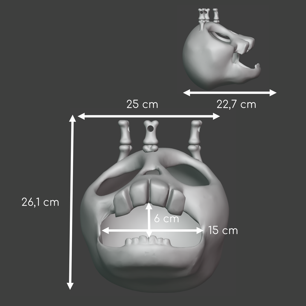 Skull hanging hide