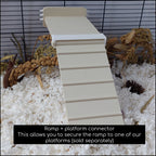 Rat ramp