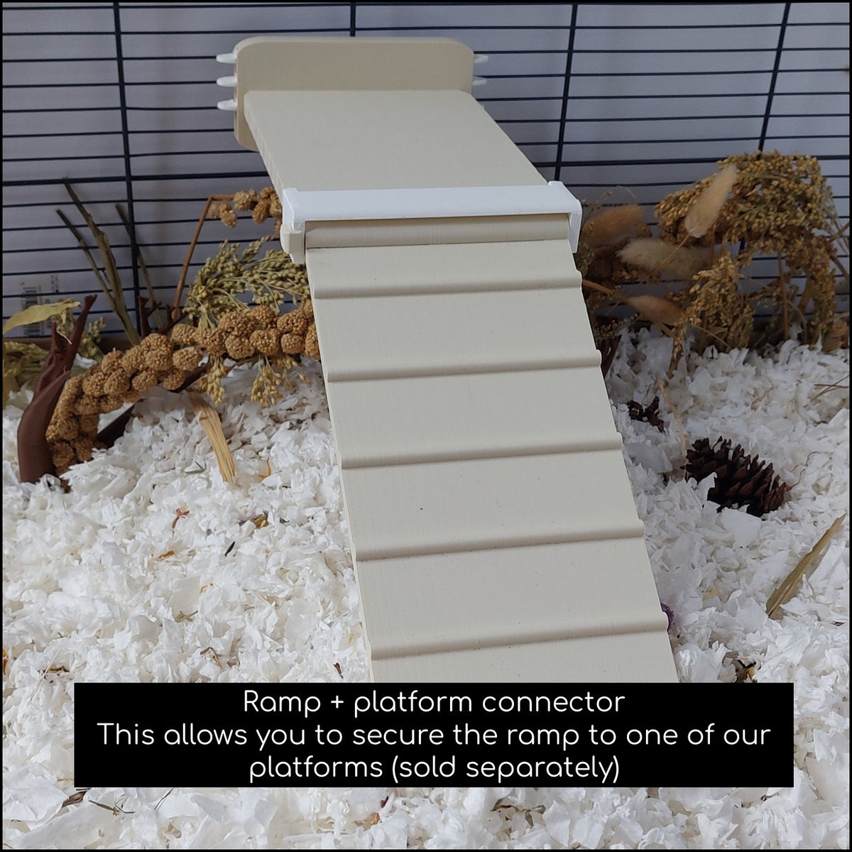 Rat ramp