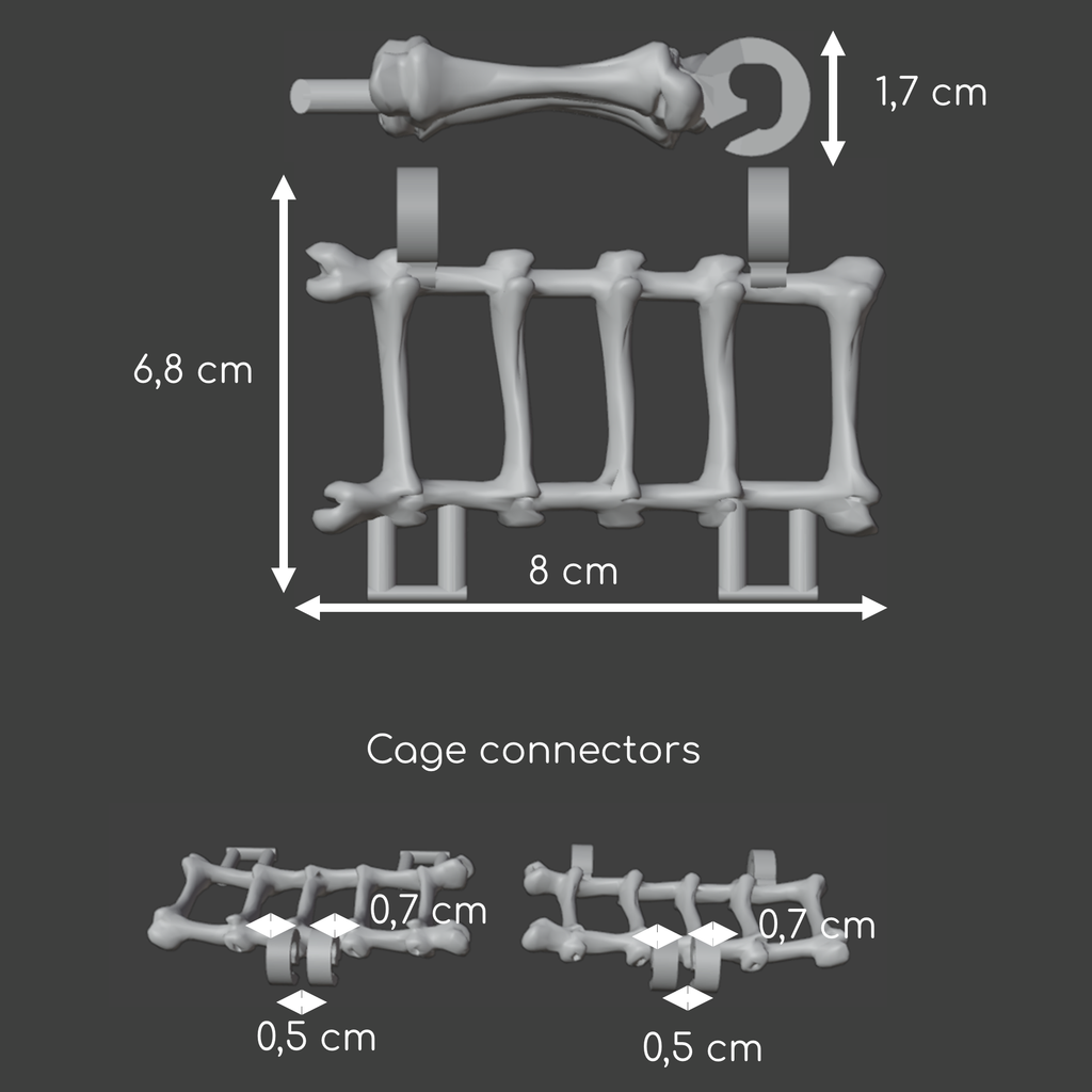 Bones hanging bridge