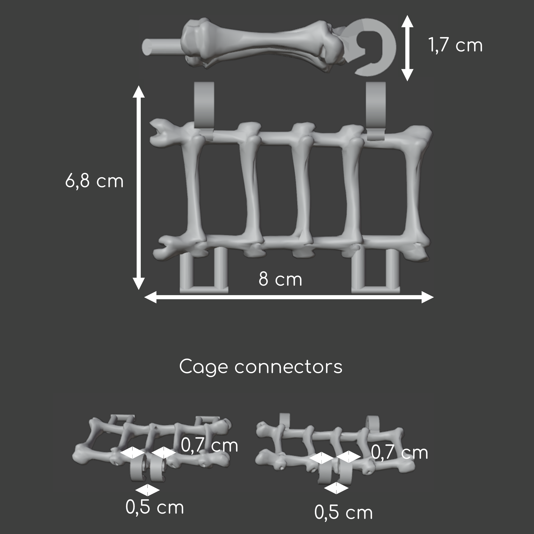 Bones hanging bridge