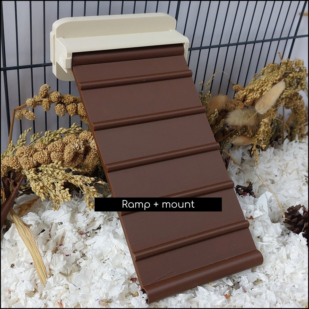 Rat ramp