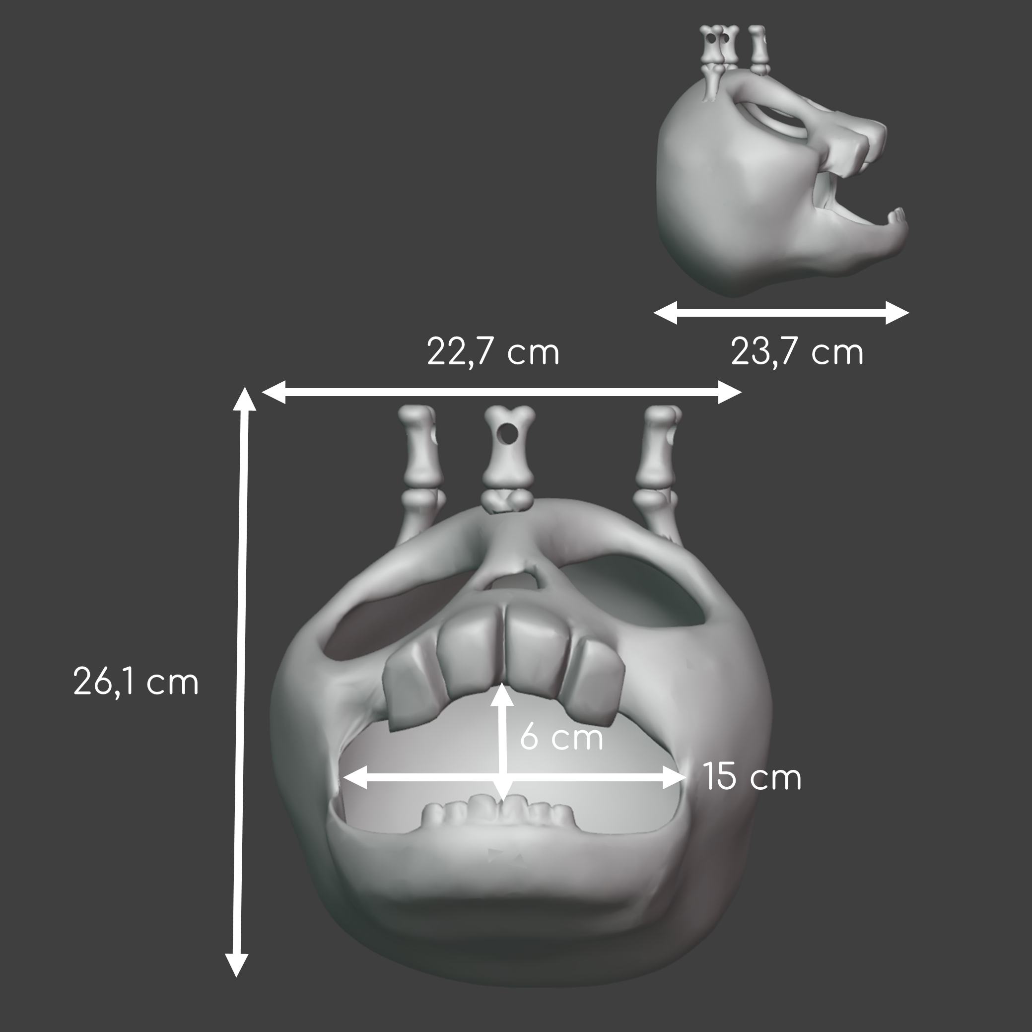 Skull hanging hide