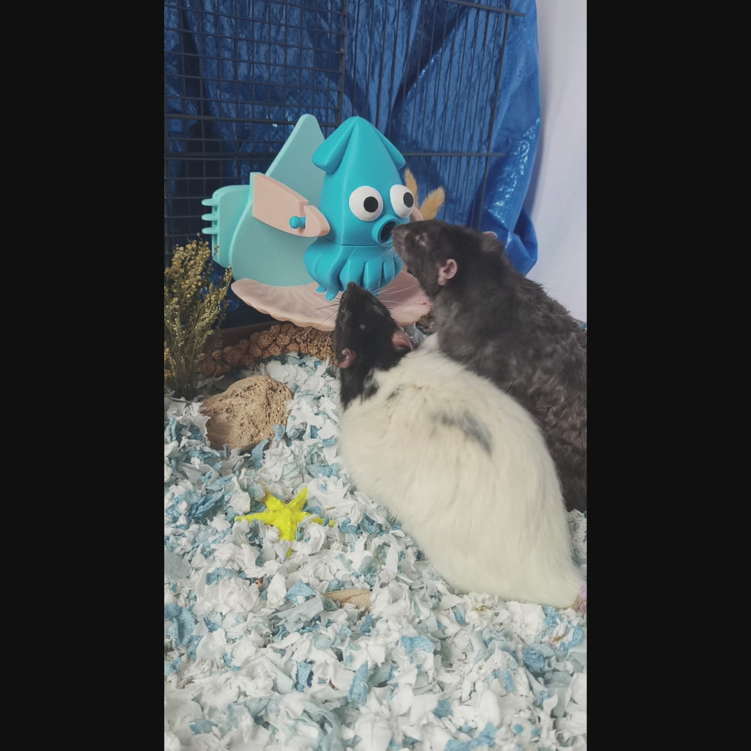 Squid foraging toy