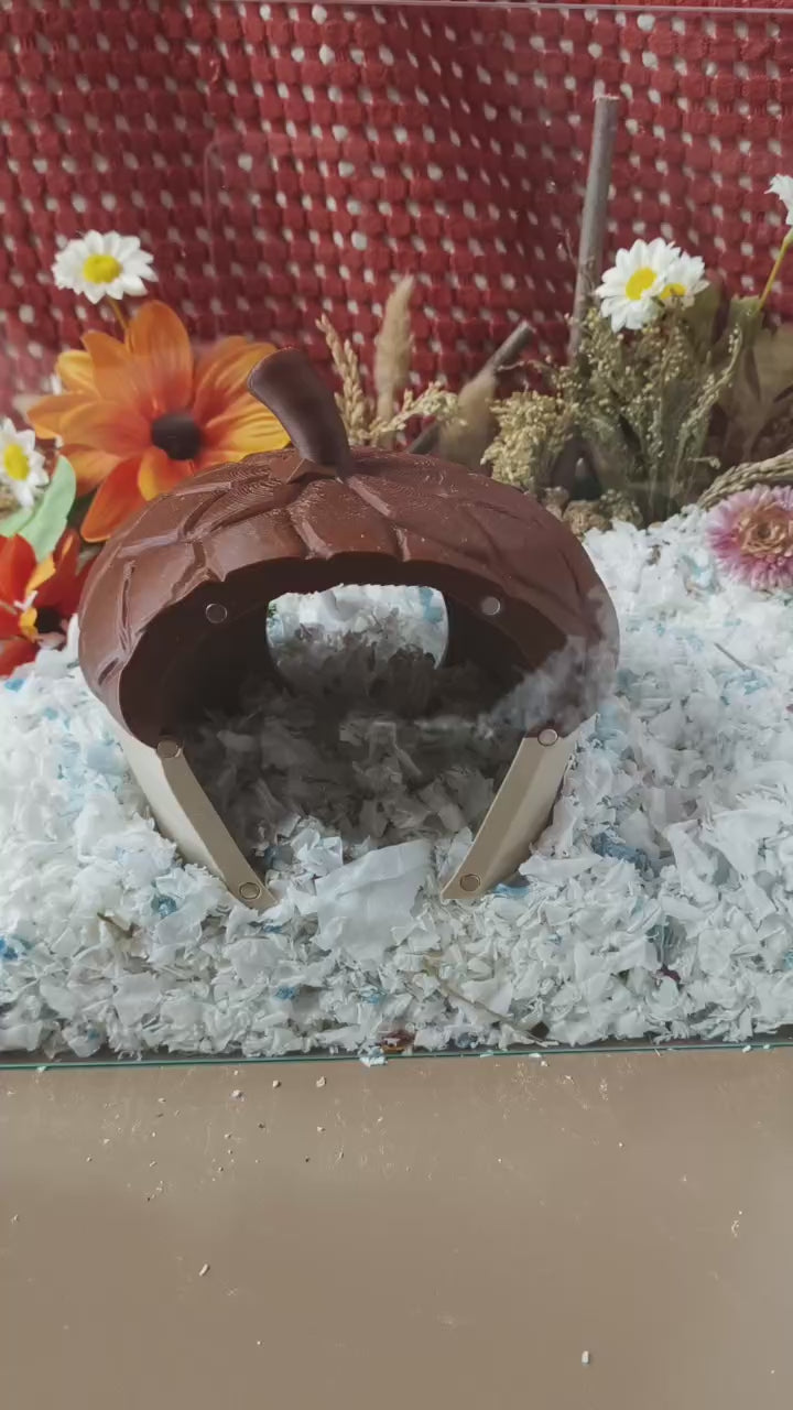 Peek-a-boo small animal hide