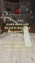 Rat ramp