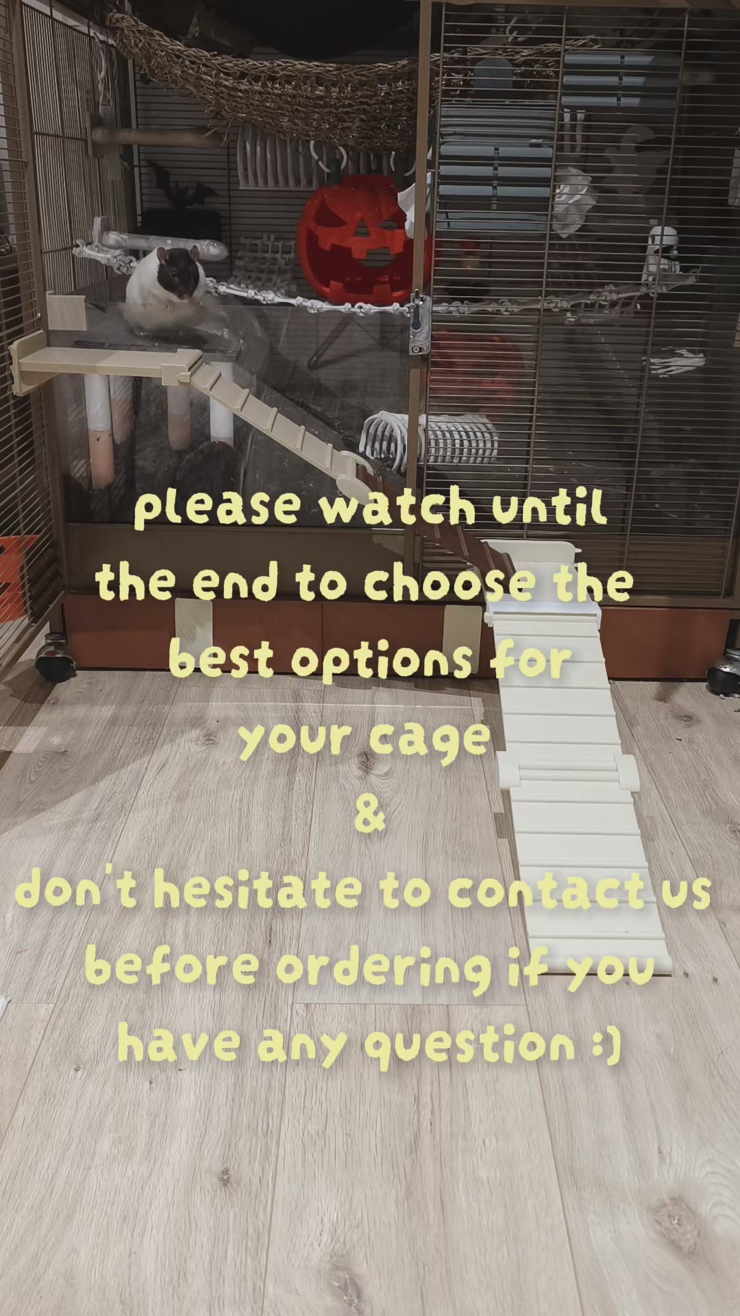 Rat ramp