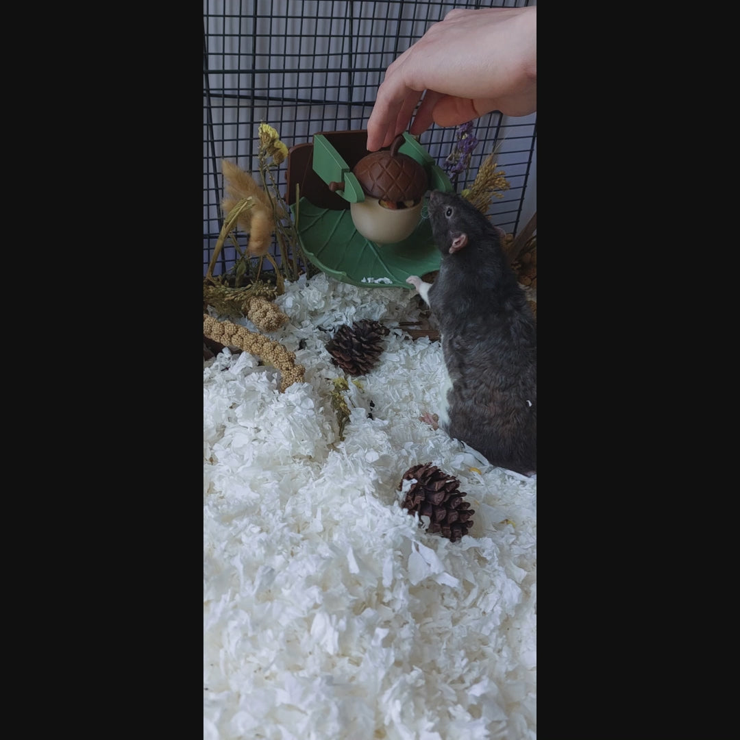 Acorn foraging toy