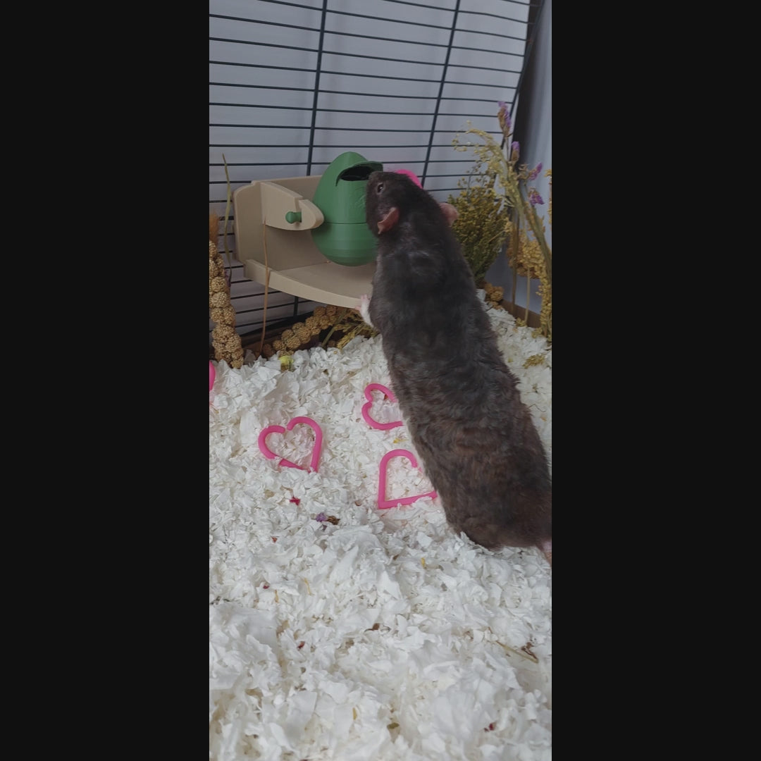 Rat rotating foraging toy