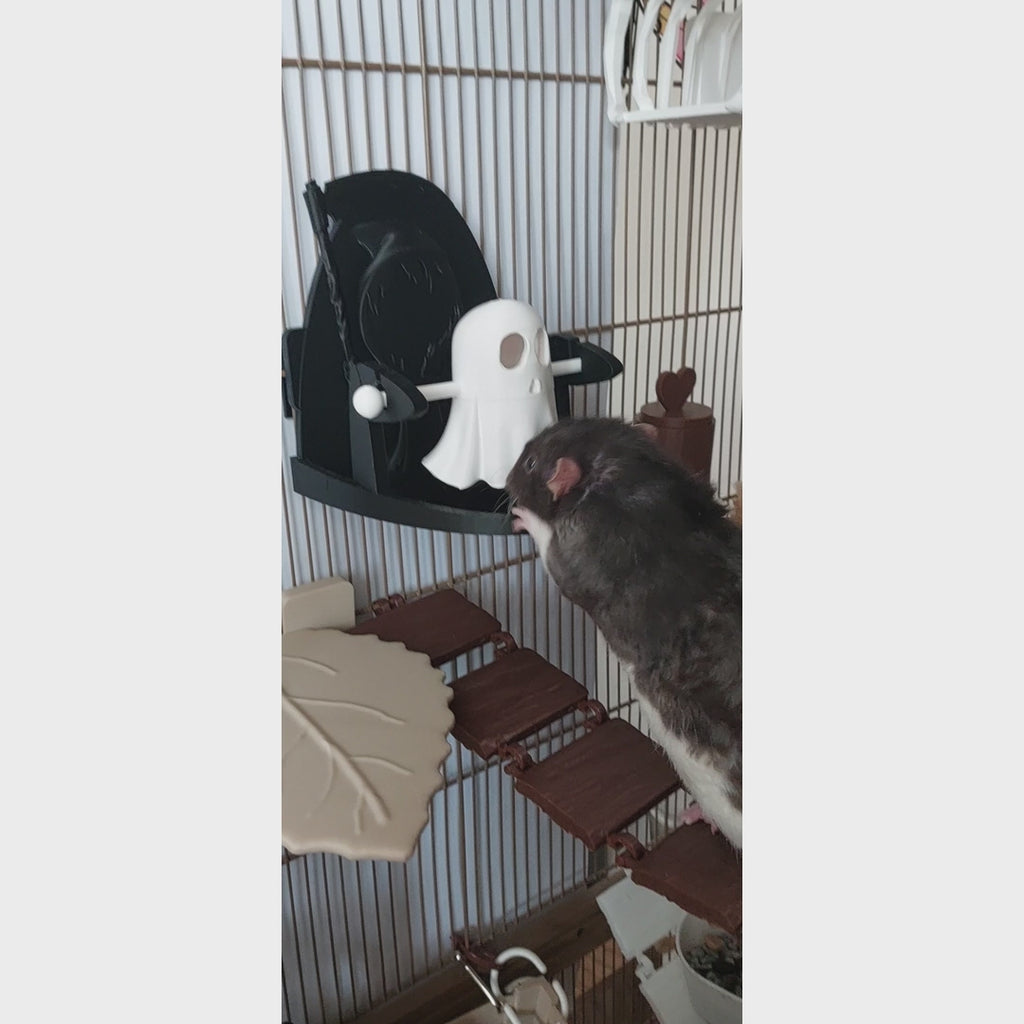 Ghost rat foraging toy