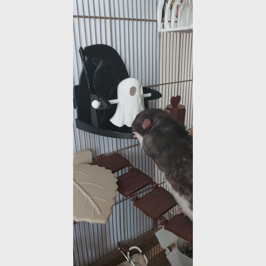 Ghost rat foraging toy